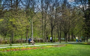 Dolina Trzech Stawów w Katowicach wiosną (13)