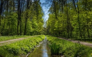 Dolina Trzech Stawów w Katowicach wiosną (4)