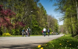 Dolina Trzech Stawów w Katowicach wiosną (8)