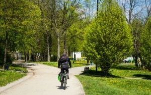 Dolina Trzech Stawów w Katowicach wiosną (2)