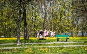 Dolina Trzech Stawów w Katowicach wiosną (6)