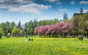 Dolina Trzech Stawów w Katowicach wiosną (9)