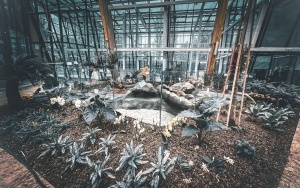 Wnętrze nowego Egzotarium w Sosnowcu [Maj 2023] (6)