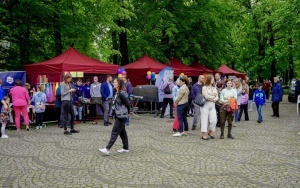 Piknik rzemieślniczy w parku Powstańców Śląskich (11)