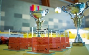 Mistrzostwa Katowic w Pływaniu Dzieci i Młodzieży (6)