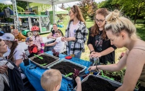 Kiermasz Kwiatów w Parku Śląskim w 2022 roku (7)