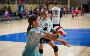 Turniej siatkówki w Ośrodku Sportowym Szopienice - MOSiR Katowice (15)