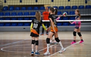Turniej siatkówki w Ośrodku Sportowym Szopienice - MOSiR Katowice (10)
