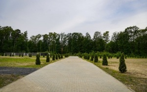 Nowy cmentarz przy os. Witosa (2)