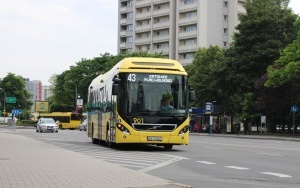 Nowe autobusy hybrydowe w Katowicach. PKM Katowice kupił 22 nowe pojazdy (2)