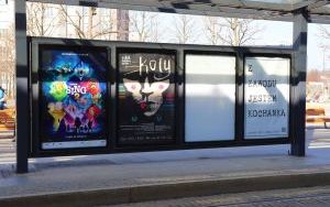 Plakaty w Katowicach. Nietypowa akcja Teatru Śląskiego (7)