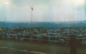 Jan Paweł II w Katowicach. Papież na Lotnisku Muchowiec był w czerwcu 1983 roku (19)