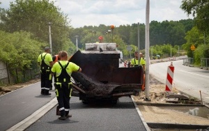 Budowa drogi rowerowej wzdłuż ulicy Francuskiej [Czerwiec 2023] (3)