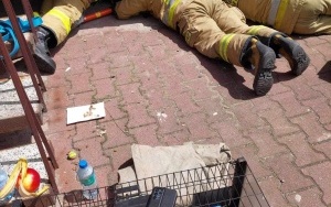 Strażacy uratowali dwa kotki (4)