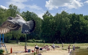 Ratownicy strzegą bezpieczeństwa na kąpielisku na Dolinie Trzech Stawów (4)