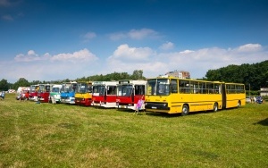 Zlot zabytkowych autobusów na Lotnisku Muchowiec  (2)