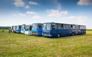 Zlot zabytkowych autobusów na Lotnisku Muchowiec  (8)