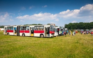 Zlot zabytkowych autobusów na Lotnisku Muchowiec  (10)