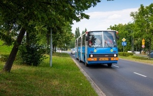 Zlot zabytkowych autobusów na Lotnisku Muchowiec  (4)