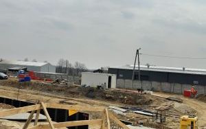 Budowa nowej linii kolejowej i stacji do Katowice Airport (9)