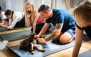 Zajęcia jogi ze szczeniakami! Studio 
