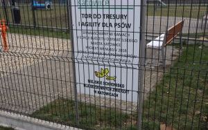 Te koty i psy z Katowic szukają domów! Światowy Dzień Zwierząt Bezdomnych (1)