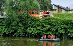 Strażacy wyłapują śnięte ryby na Odrze (4)