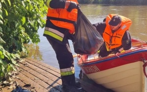 Strażacy wyłapują śnięte ryby na Odrze (6)