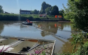 Strażacy wyłapują śnięte ryby na Odrze (8)