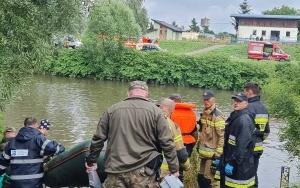 Strażacy wyłapują śnięte ryby na Odrze (11)