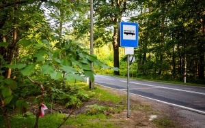 Przystanki autobusowe zlokalizowane przy Stargańcu (2)
