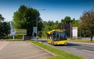 Linia autobusowa Starganiec (5)