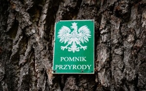 Trzystuletni Dąb Szypułkowy 