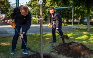 Zasadzenie drzewa z okazji nawiązania partnerstwa między Katowicami a Lwowem (7)