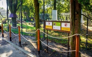 Nowy wybieg dla rysi i rosomaków w Śląskim ZOO (7)