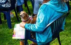 Piknik z Katowicką Radą Seniorów (16)