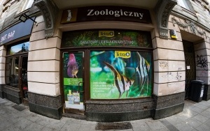 Sklep zoologiczny przy ul. Mariackiej w Katowicach (10)