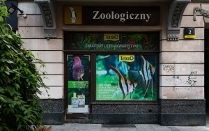 Sklep zoologiczny przy ul. Mariackiej w Katowicach (13)