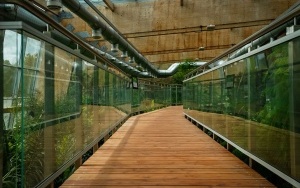 Pawilon lasu deszczowego w Śląskim Zoo (10)