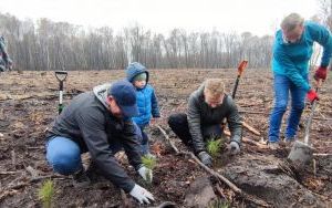 Akcja sadzenia drzew z Nadleśnictwem Katowice (3)