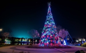 Garden of Lights w Legendii Śląskim Wesołym Miasteczku (5)