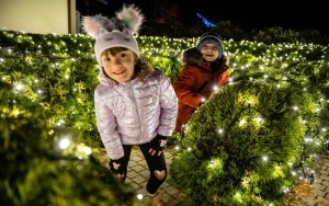 Garden of Lights w Legendii Śląskim Wesołym Miasteczku (9)