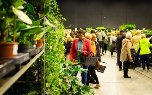 Festiwal Roślin w Katowicach - październik 2023 (11)