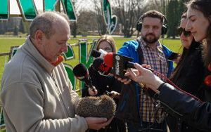 Jeże zamieszkały w Parku Śląskim (13)