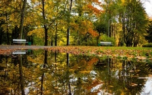 Park Kościuszki zachwyca jesienią (10)