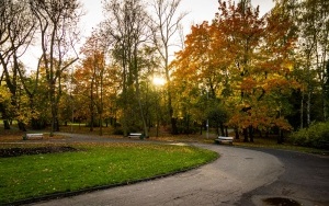 Park Kościuszki zachwyca jesienią (11)