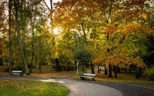 Park Kościuszki zachwyca jesienią (12)