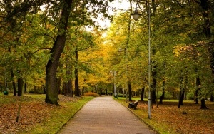 Park Kościuszki zachwyca jesienią (15)