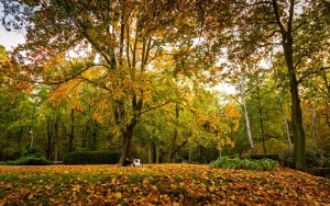 Park Kościuszki zachwyca jesienią (18)