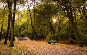 Park Kościuszki zachwyca jesienią (1)